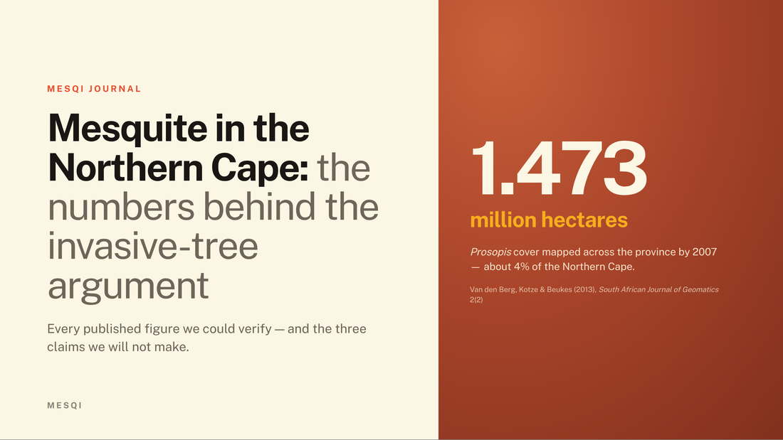 Mesquite in the Northern Cape: 1.473 million hectares of Prosopis cover mapped by 2007